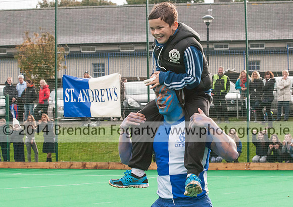 SAC All Irl Finl2013-2301